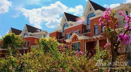 国际学校2011小学升初中考试成绩查询网址-2