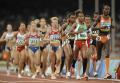 图文-[奥运]田径女子万米 比赛开始阶段集团紧凑
