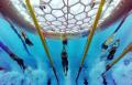 图文-女子200米蝶泳刘子歌夺冠 水立方的水下激战