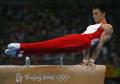 图文-体操男团中国夺得冠军 鹿岛丈博很是稳定