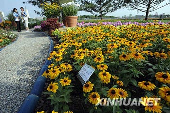 Beijings Blumenmarkt blüht auf