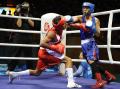 图文-拳击男子51公斤级泰国夺冠