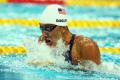 图文-9日奥运会游泳预赛比赛 美国选手赶超对手