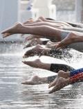图文-女子10公里公开水域决赛 入水一瞬腿部姿势