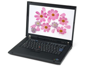 ThinkPad R61i(7650DTC)