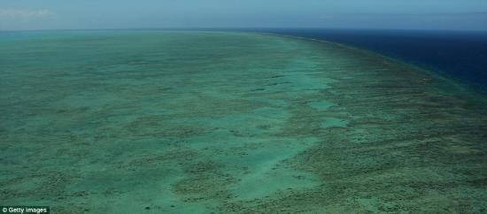 天然结构给人一种美的感受 全球气候变暖将致澳大利亚大堡礁20年后消失