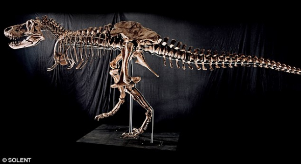 世界最大霸王龙骨架将拍卖 或达480万英镑(图
