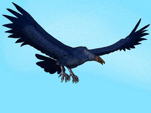 阿根廷巨鸟是地球上曾存在过的最大鸟类，翼展达到7米