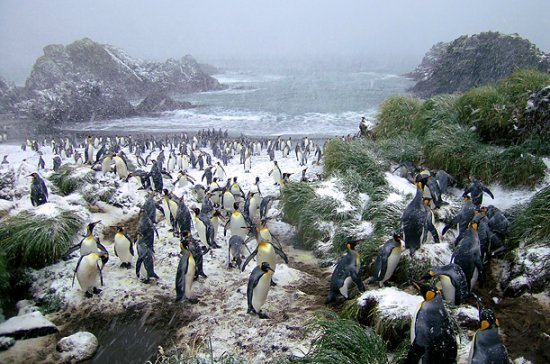 风雪中的勇士 风雪中的勇士