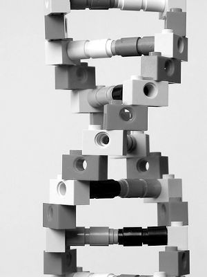 CG公司的基因组测序工作完全由机器人完成