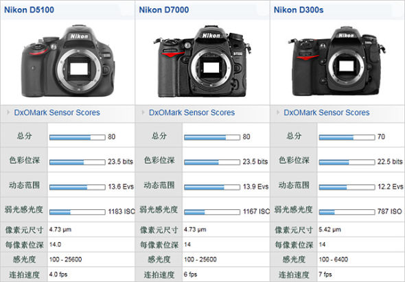 D5100与D7000、D300s传感器对比