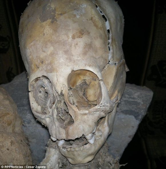 来自西班牙和俄罗斯的3位人类学家对这两具干尸进行了初步研究，认为不属于人类的遗骸