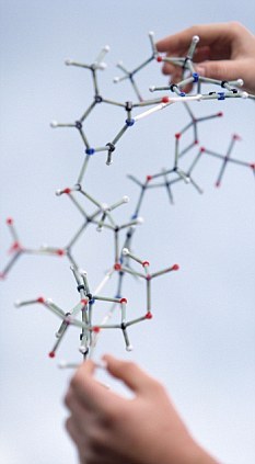 美国加州的生物学家安德鲁·何塞尔认为细胞本身便是活体计算机，而DNA则是编程语言