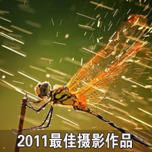 2011�����Ӱ��Ʒ