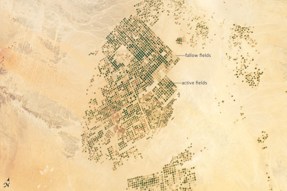 每日卫星照：沙特阿拉伯沙漠农业绿洲