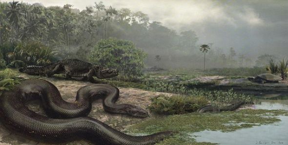 泰坦巨蟒长达48英尺(14.63米)，体重与一辆小轿车相同，身体厚度超过1码(0.91米)。这种大蟒蛇的近亲生活在6000万年前的哥伦比亚北部地区