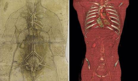 达芬奇绘制的躯干素描图与数字成像技术获取的躯干图像对比