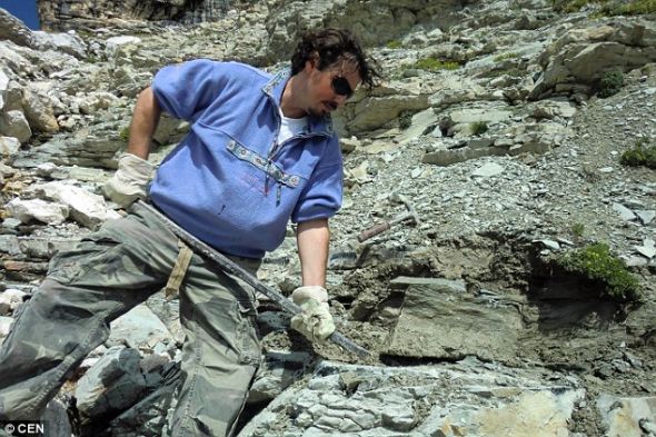 奥地利国家历史博物馆地质学古生物学部门的亚历山大-鲁肯奈德，正在阿尔卑斯山白云石山进行挖掘