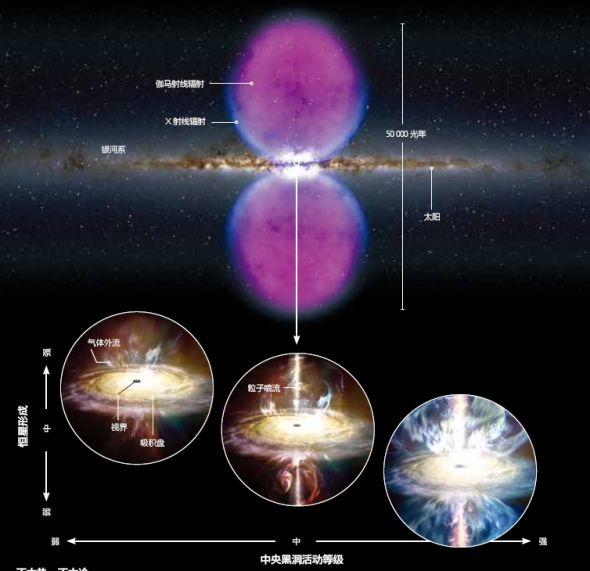 黑洞吞食过程中所释放出的巨大能量会强烈抑制恒星的形成。如果没有外流物有规则的调控（左图），一个星系就会拥有过多的会爆发成超新星的年轻恒星。 相反，一个过度活跃的黑洞（右图）也会终止恒星形成，使宿主星系缺少可以构建行星的重元素（恒星聚变产生），例如铁、硅和氧。而银河系中央黑洞（中图） 的活动程度和位置正是恰到好处。