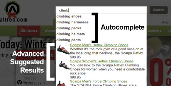 高级建议搜索结果