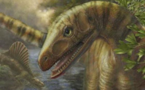 在2.52亿年前的二叠纪-三叠纪灭绝事件之后，一些像阿希利龙(学名：Asilisaurus)这样的动物被局限在所生存的地方。
