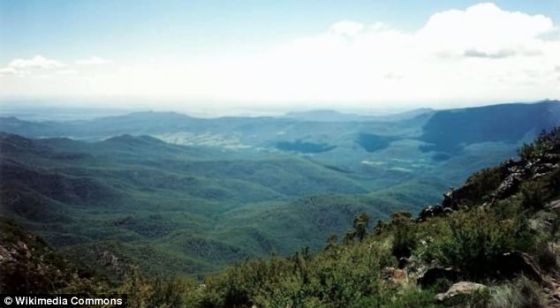 ������������ʿ�����������и���������ɽ����б���ϵ�ɭ�֡����ܲ����������ȴ��������ʹ���ʹ�����Ϊ�ۺ�ɫ������ʳͬ����ţ���������ص㣬�����Ĵ󲿷�ֲ�����ѱ�ɡ�