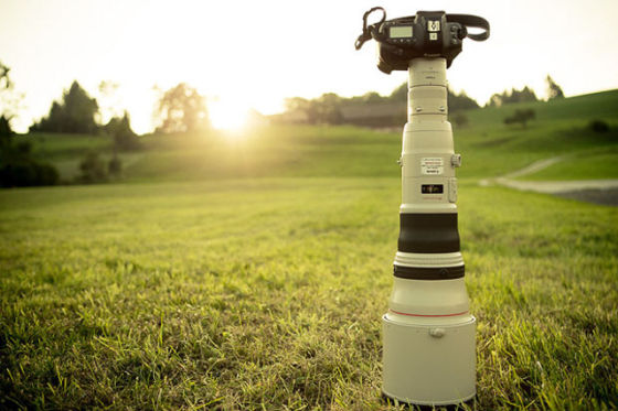 Canon EOS 1DX��Canon EF 800mm F5.6L IS������2�����ྵ���ܴﵽ1600mm�ĵ�Ч������ (ͼƬ��Դ��petapixel)