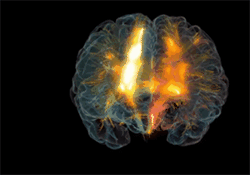 3D玻璃大脑图像展示人类思想活动