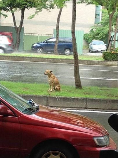 һСƹеȴ˻ƬϴԼ顣