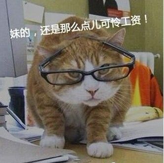 �������⼸����ȫ��������Ĺ�ͬ����