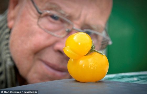 ������ֻ�������ĵ�����̫�ɰ����ֶ������Ӷ�����óԵ������Ǿ��������ǷŽ��������ڣ������Ӻ����ǻ�����ʱ�䡣