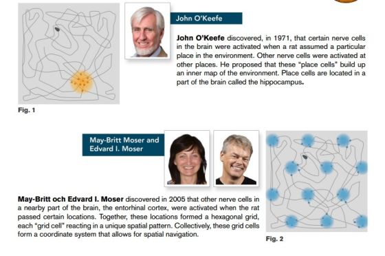 三名科学家分享2014诺贝尔生理学或医学奖