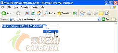 PHP�����ı��ļ��������ض�ҳ��Ĵ�ȡ(2)