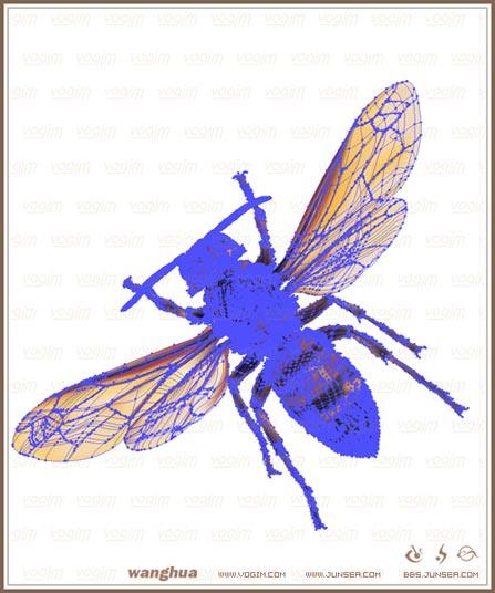 IllustratorʵսʵĻƷ(9)