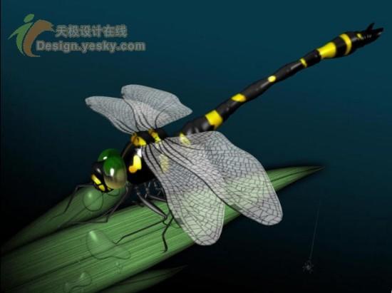 3DsMAX̳ҶƬϵľά(5)