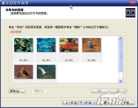 ΪҳACDSee10