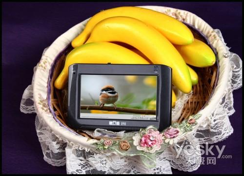 ���ԳԵ�GPS��������Ʒ������ͼ��(2)