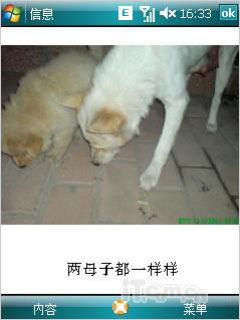 第二代全能战神多普达GPS智能P860评测(14)
