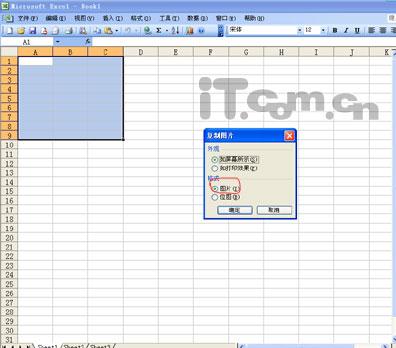 Shift ɰExcelתΪͼƬ