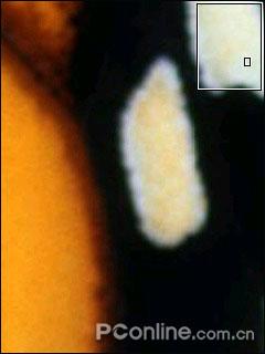 �ջ��ѵ����մ�GPS���ܰ���P860����(4)