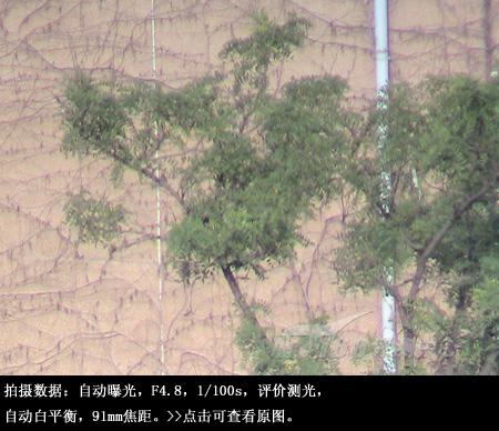 35����佹����DVD�����DC230����(7)