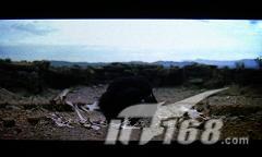 3Ӣ��16:10�������ﲥ����VX747����(4)