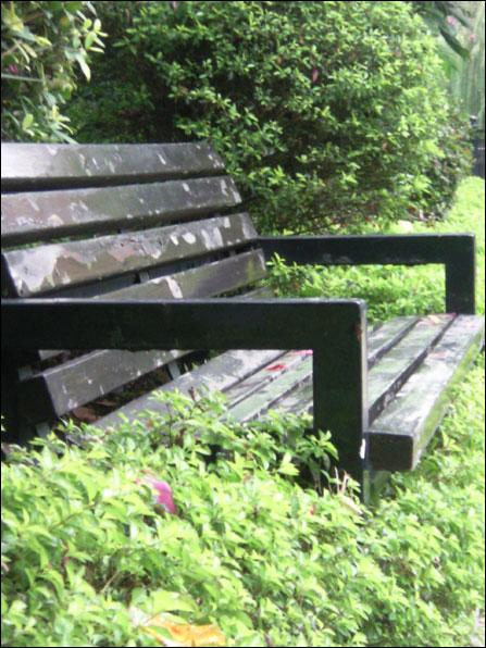 500����������G800������T5����Ա�(6)