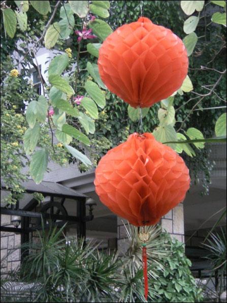 500����������G800������T5����Ա�(6)