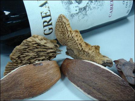 500����������G800������T5����Ա�(7)