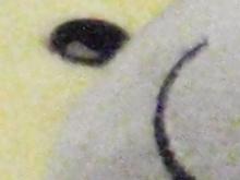 光艳照人7倍光变DC奥林巴斯μ1010评测(7)