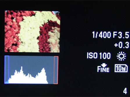 光艳照人7倍光变DC奥林巴斯μ1010评测(5)