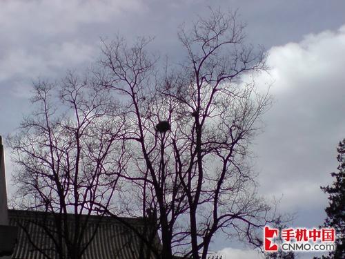 ȫ���׷�LG�콢��KE998����ר������(5)