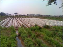 ��������ŵ����5310XM��Ħ��E8�Ա�(9)