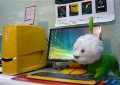 Ʒ�ƻ�Ҳ�泬Ƶ���ڼ���Ʒ�ƻ���Ʒ�Ƽ�(5)